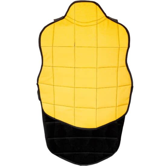 FIELD_Chest_Protector_Referee_back.jpg