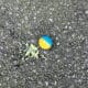 FIELD_Premium_Paintballs_2000er_Karton_exklusiv_fuer_Spielfelder_blau_gelb_Fuellung.jpg