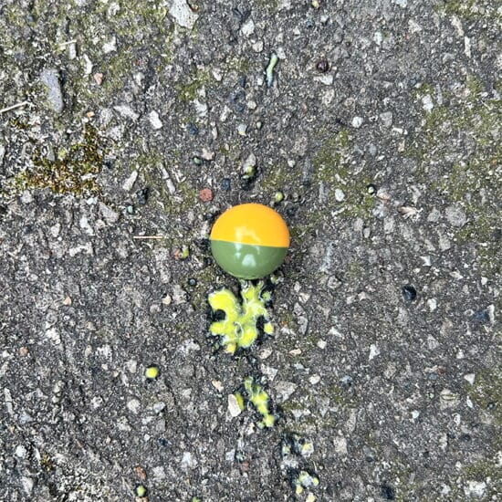 FIELD_Premium_Paintballs_2000er_Karton_exklusiv_fuer_Spielfelder_gelb_gruen_Fuellung.jpg